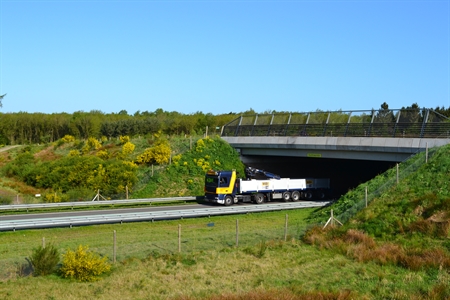 Ecoduct 'Suthwalda'