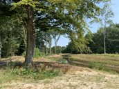 Fotobijschrift: Voorbeeld aangepaste loop Ruiten Aa bij de Noordmee (Sellingen) | fotograaf Maj-Britt Smits