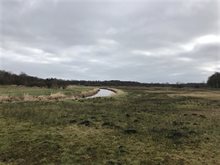 Foto: Drentsche Aa, Schipborgerdiep.