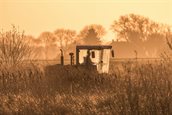 Foto: Maaimachine in het moeras