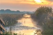 Foto: Hansvaart Hellum