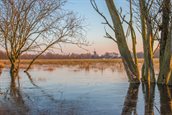 Foto: Westerpolder Kolham