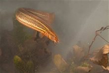 Foto Jelger Herder via bij12.nl